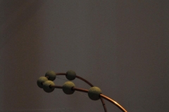 403576_10150643638617246_182041512245_10991053_1026721232_n