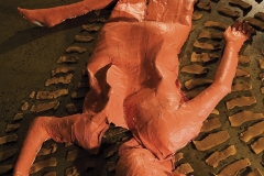 2006 Performance/exhibit 'Lone Guinea Fowl’ KickArts Gallery, Cairns