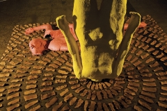 2006 Performance/exhibit 'Lone Guinea Fowl’ KickArts Gallery, Cairns