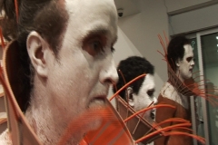 2006 Performance/exhibit 'Lone Guinea Fowl’ KickArts Gallery, Cairns